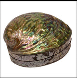 Paua Shell Jewellery Box