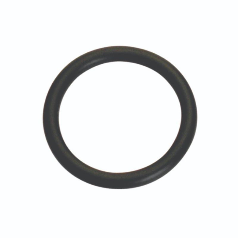 Champion 1/4in (I.D.) x 1/16in Imperial O-Ring -10pk