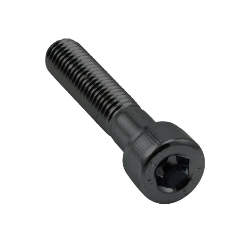 Champion 3/16in x 1/2in BSW Socket Head Cap Screw -10pk