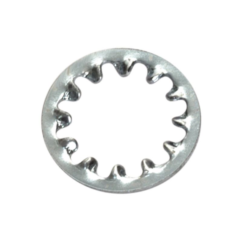 Champion 4mm internal Star Washer -50pk