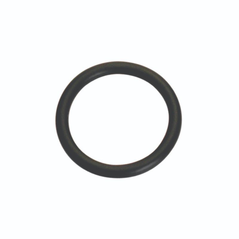 Champion 1/8in(Tube Ref) x.239(I.D) x.064 (Sec.) O-Ring-10pk