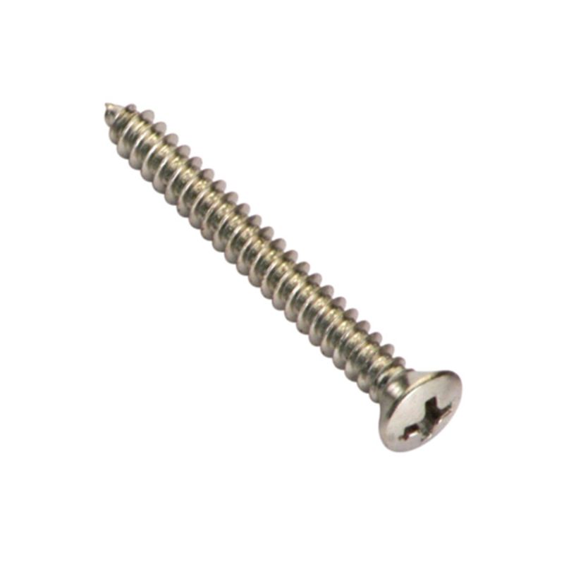 Champion 8G x 1in S/Tapping Screw Raised Head Slot - 100pk