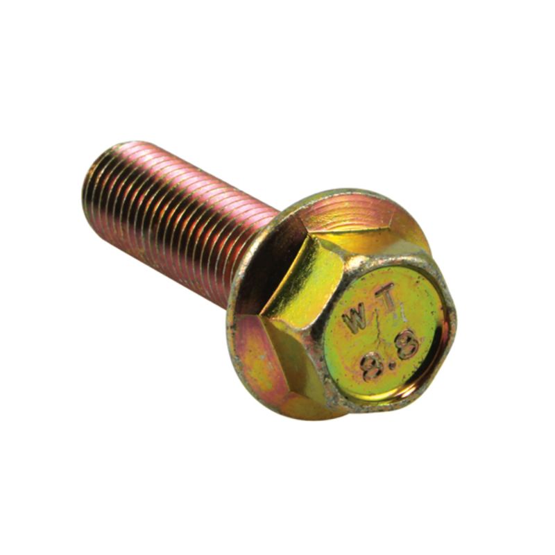 Champion M8 x 25mm Flange Head Set Screw -Gr8.8 -12pk