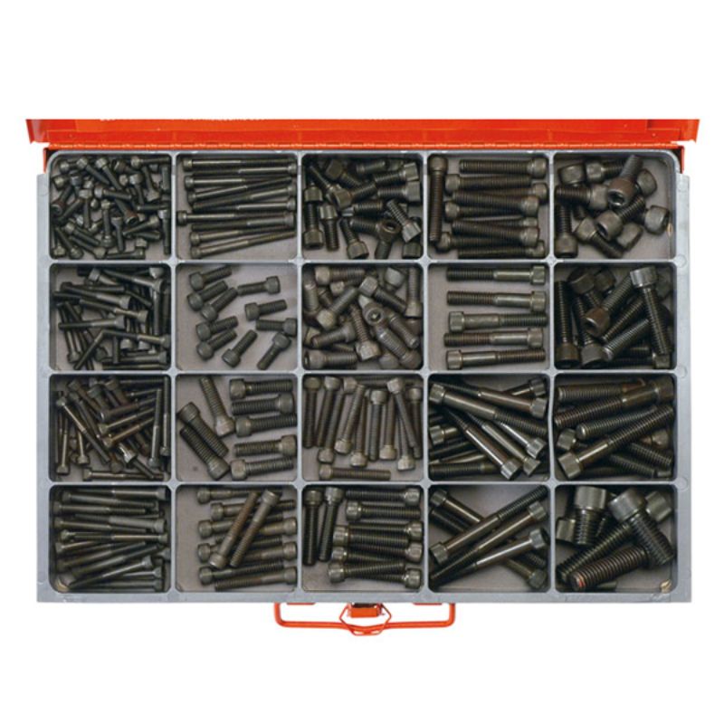Champion Master Kit 300pc BSW 12.9 HT Skt Hd Cap Screw Asst