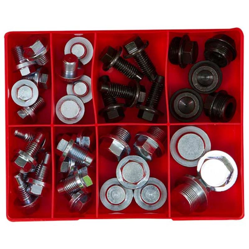 Champion 40pc Drain Plug Assortment