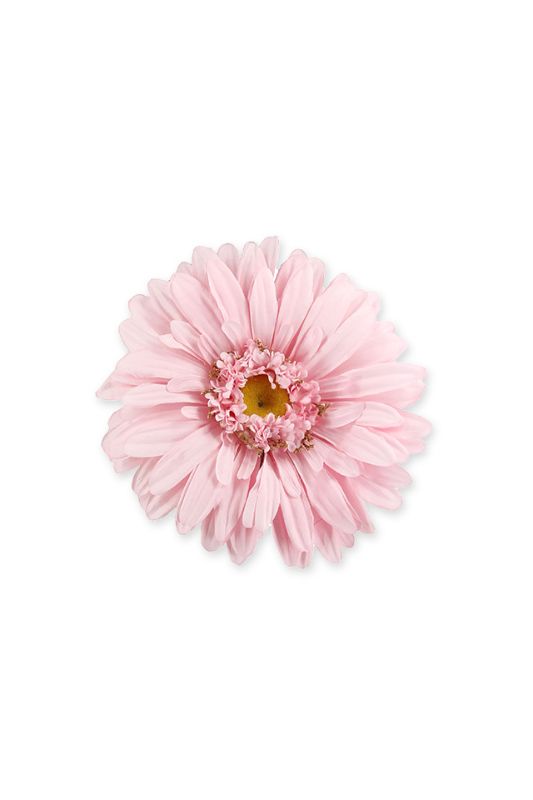 XXL Gerbera Head Size 32cmD

 -  Rosebloom - Set of 4
