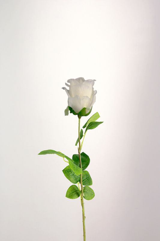 Artificial Single Rose -  White - Set of 10