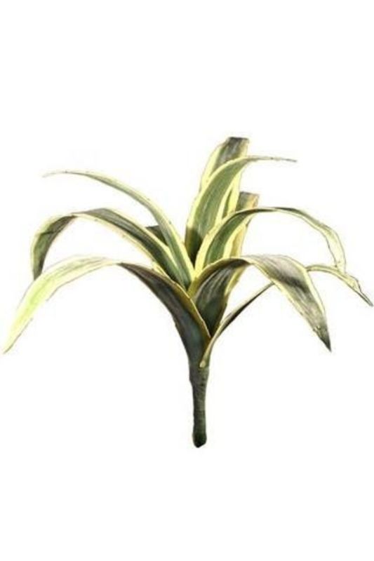 Artificial Large Agave -  White Green - Set of 2