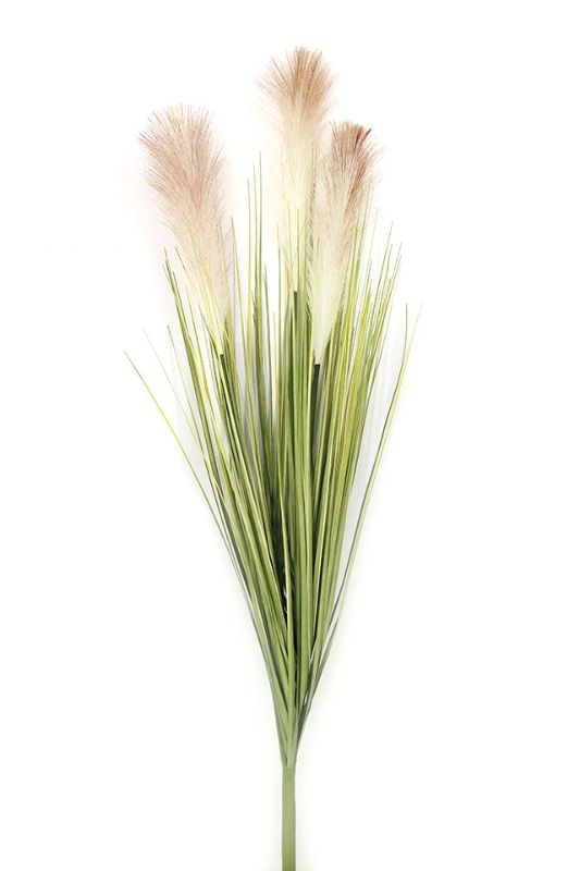 Artificial Artificial Pampas Grass with 3 Heads -  Natural - Set of 5