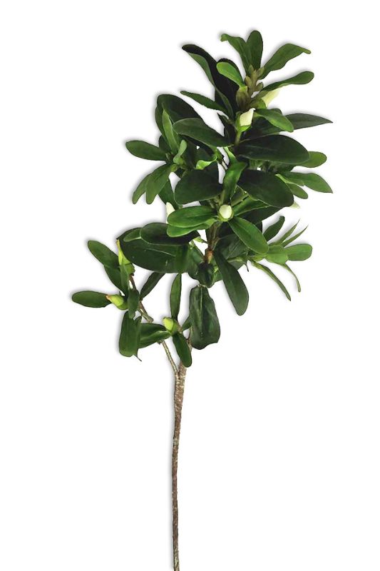 Artificial Camellia Spray with Buds -  Mid Green