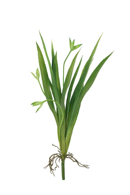 Artificial Orchid Leaf Spray x 13 -  Mid Green - Set of 6