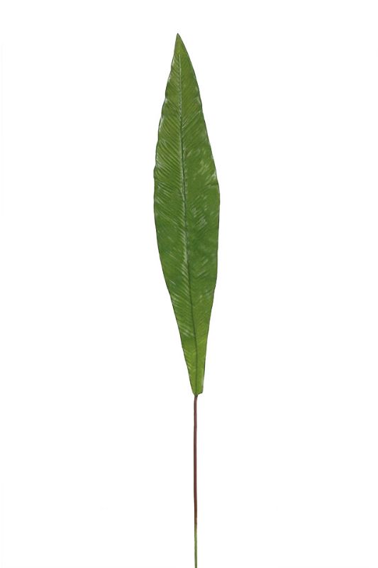 Artificial Large Spear Leaf -  Mid Green - Set of 5