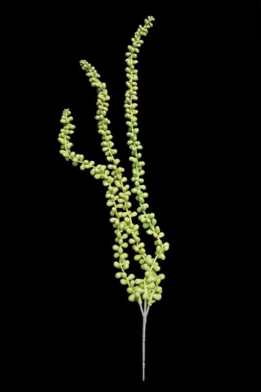 Artificial Trailing String Of Pearls -  Mid Green - Set of 6