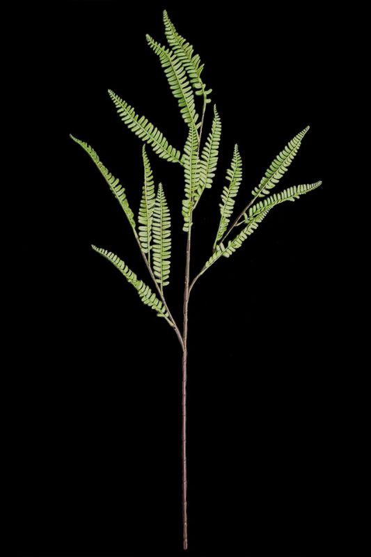 Artificial Boston Fern Spray -  Sage - Set of 6