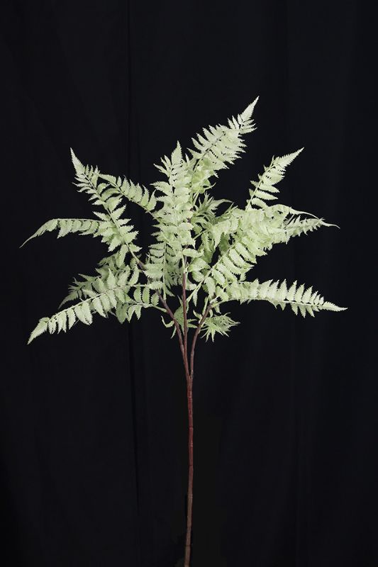Artificial Deluxe Sword Fern Spray -  Sage - Set of 6
