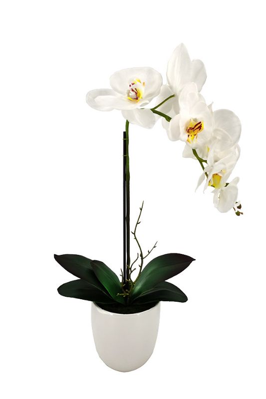 Artificial Small Phalaenopsis Orchid - Ceramic Vase -  White