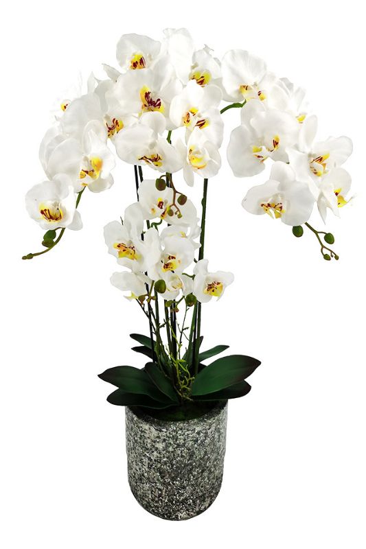 Artificial Extra-Large Phalaenopsis Orchid - Cement Vase -  White