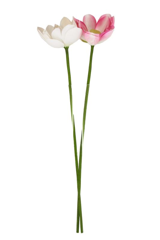 Artificial Lotus Flower -  White - Set of 6