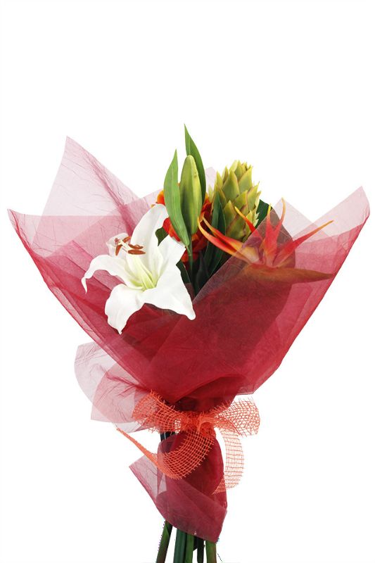 Decorative Wrap  - Crinkle Sheer 1-Tone (100 Sheets) -  Pink