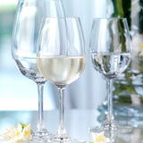Weinland White Wine 350ml  Set 6 - Stolzle