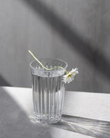 Joy Hi Ball 295ml - Pasabahce  - Set of 4