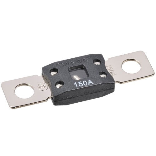 100 Amp Anm Type Fuse