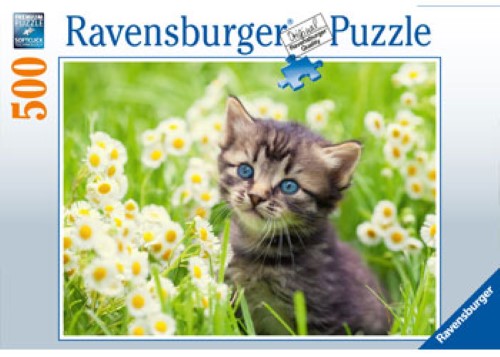 Puzzle - Ravensburger- Kitten in the Meadow 500p