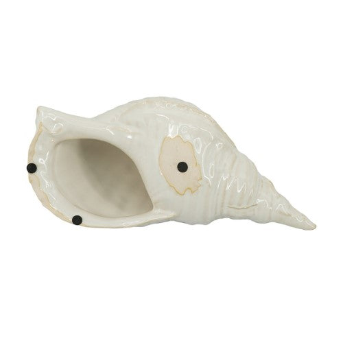 Decorative - Seashell