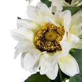 Decorative - White Sunflower Stems 9 Heads
