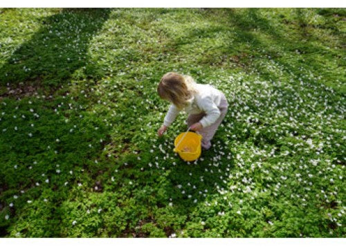 Viking Toys - Reline Big Bucket