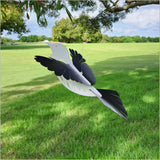 Wall Décor - Large Flying Bird Tui (41cm)