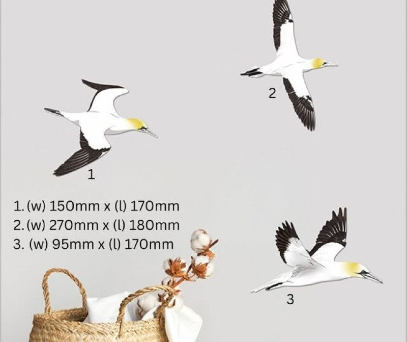 Wall Art - Printed ACM Birds Set Takapu / Gannet