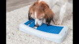 Dog Toy - Dog Activity Rod Board