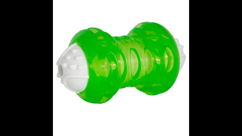 Dog Toy - Hyper Squawkers Bone