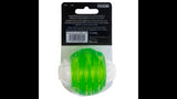 Dog Toy - Hyper Squawkers Ball