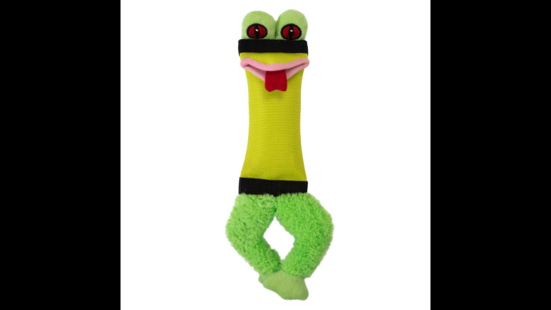 Dog Toy - Firehose Friends Frog