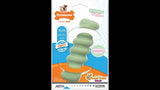 Dog Toy - Puppy Chew Tactile Stick - Regular