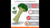 Dog Toy - Power Chew Broccoli - Giant