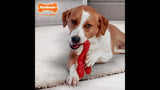 Dog Toy - Power Chew Lobster - Souper