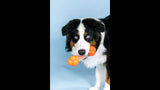 Dog Toy - Strong Chew Sneaky Snacker Chew & Treat Toy - Giant