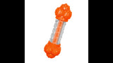 Dog Toy - Strong Chew Sneaky Snacker Chew & Treat Toy - Giant