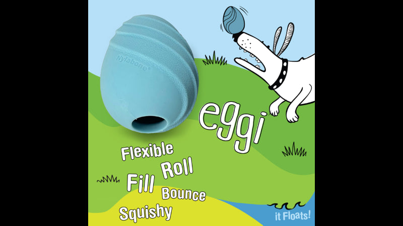 Dog Toy - Creative Play Eggi - Blue