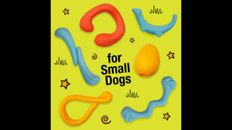 Dog Toy - Creative Play Tuug Small - Orange