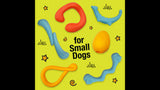 Dog Toy - Creative Play Springa Small - Blue