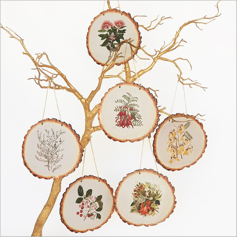 Wood slice wall art featuring delicate watercolor Manuka flowers by Sarah Featon, celebrating New Zealand's natural beauty.