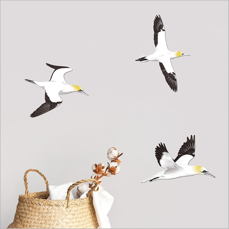 Wall Art - Printed ACM Birds Set Takapu / Gannet