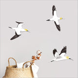 Wall Art - Printed ACM Birds Set Takapu / Gannet