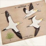 Wall Art - Printed ACM Birds Set Takapu / Gannet