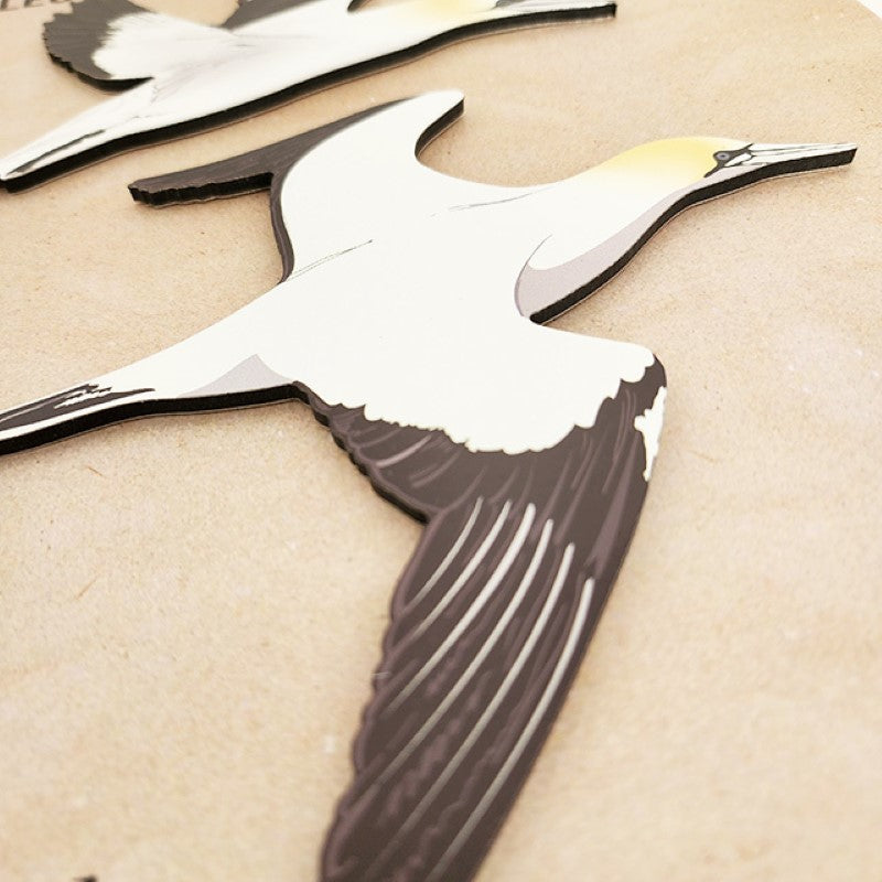 Wall Art - Printed ACM Birds Set Takapu / Gannet