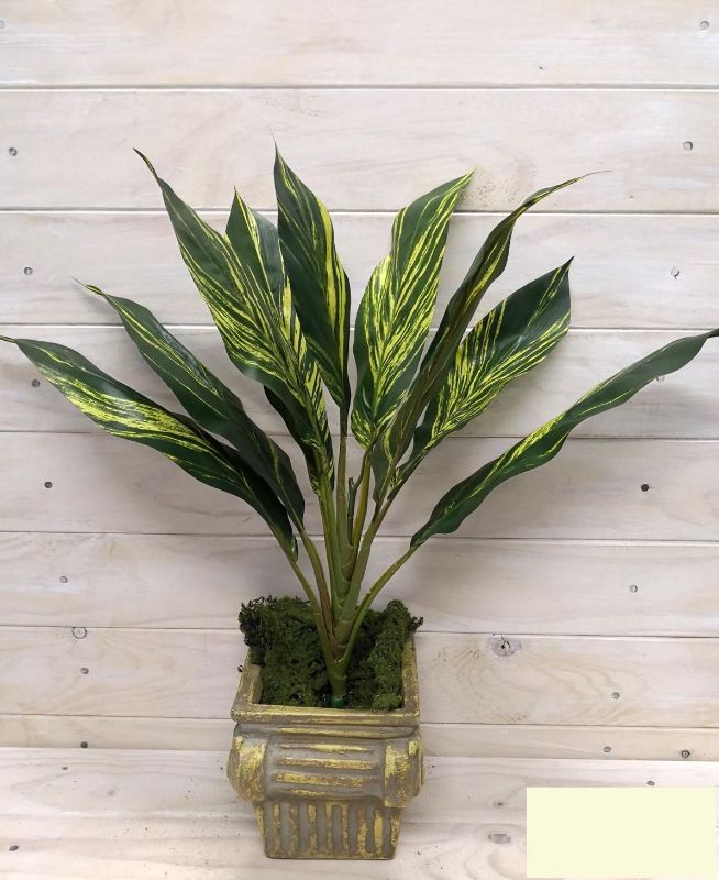 Artificial Plant Bush - Hawaiian Ti Plant (Green)